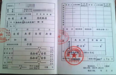 海南一“公章之争”背后：虚假诉讼、假